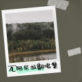 AL阿尼拉 - 十九八七…