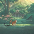 向以辰 - 数猫