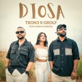 Tron3、Grolf、Kaim Music、Karuna - Diosa (feat. kaim Music & Karuna)