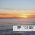王振宇 - 像梦一样自由