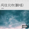 王振宇 - 风往北吹
