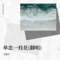 王振宇 - 单恋一枝花