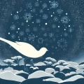 自由没谱 - 雪候鸟