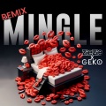 Mingle (Remix)