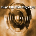 Nhiều Ca Sĩ - Ca Nho