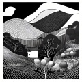 自由没谱 - 黑白世