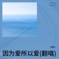 王振宇 - 因为爱所以爱