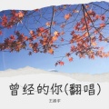 王振宇 - 曾经的你