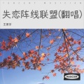 王振宇 - 失恋阵线联盟