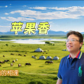 刘一鸣 - 苹果香