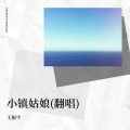 王振宇 - 小镇姑娘