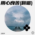 王振宇 - 用心良苦
