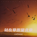 站在草原望北京 (LiuPeanut|乌兰图雅 remix)