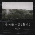 烟嗓大叔  林武威 - 小芳啊小芳
