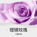 铿锵玫瑰
