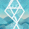 大仙儿 - exo粉丝参加中国梦想秀的正确打开方式