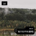 烟嗓大叔  林武威 - 我只在乎你