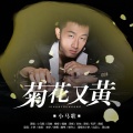 小马歌 - 菊花又黄