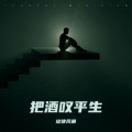 旋律风暴 - 忘情酒