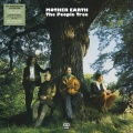 mother earth、Paul Weller - Almost Grown