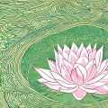 小白老师的阅读 - 爱莲说