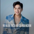 Lưu Ánh Loan - Vó Ngựa Trên Đồi Cỏ Non Remix