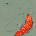 勾勾 - 锦鲤抄