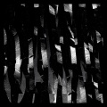 Ivy Lab、Jonathan Fogel、Govind Kidao - Jagged Roots