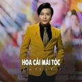 Hoa Cài Mái Tóc (Ytmix)