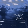 下一次爱情来的时候 (DJ EVA版)