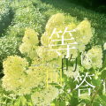 嘉了个茄 - 等你的回答
