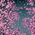 云朵 - 苦了你我的红颜