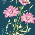 卿歌霹雳组合 - 花蝴蝶 卿歌霹雳组合