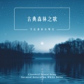 酷客音乐 - 勃拉姆斯：小睡魔
