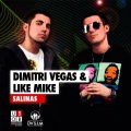 Salinas (Tim Berg Rmx)