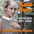 Comment Te Dire Adieu (Daniel Bovie Extended)