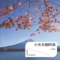 小灰灰 - 沙漠骆驼