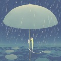 向东 - 风风雨雨陪你一起走 (慢四版)