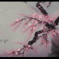 快乐波歌 - 梅花赋