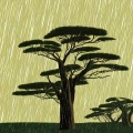 劉PD - In The Rain