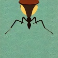 武聪明 - ANT I flying like a bird