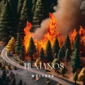 Wolford - Humanos