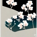 君子胸 - 【海报】花无缘 词：花樱远 唱：君子胸 TO Beay清