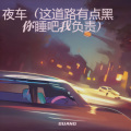 夜车 (这道路有点黑 你睡吧我负责)