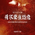 云南十三妹、DJ小妍 - 荷尔蒙在燃烧