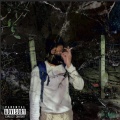 Bushey Won、ALTERVERS、Sezan Mahmud - Night Lights (feat. Sezan Mahmud)(Explicit)