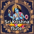 Koushik Mahata - Sri Krishna Flute