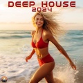 Audio Monk、Katerina Shi - Right Is Wong