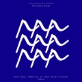 Cavendish Blues presents New Blue Band: New Blue - Original & Trad Blues Sounds, Vol. 2