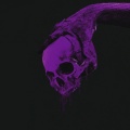 ghostface、Night Grind - Maniac